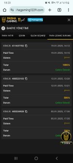 Screenshot_20250119_182030_Chrome.jpg
