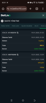 Screenshot_20250120-023111.png