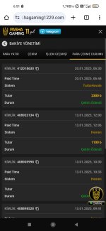 Screenshot_2025-01-20-06-51-34-158_com.android.chrome.jpg