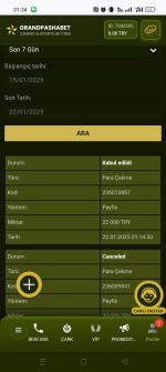 Screenshot_2025-01-22-01-34-43-57_40deb401b9ffe8e1df2f1cc5ba480b12.jpg