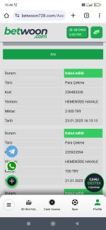 Screenshot_2025-01-23-16-46-52-699_com.android.chrome.jpg