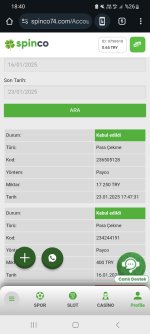 Screenshot_20250123_184016_Chrome.jpg