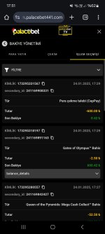 Screenshot_20250124_175102_Chrome.jpg