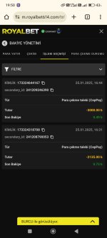 Screenshot_2025-01-25-19-50-37-593_com.android.chrome.jpg