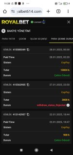 Screenshot_2025-01-28-11-28-52-643_com.android.chrome.jpg