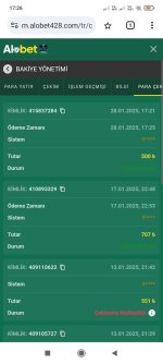 Screenshot_2025-01-28-17-26-06-912_com.android.chrome.jpg