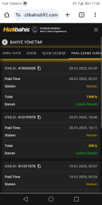 Screenshot_20250128-175624.png
