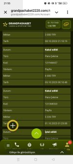 Screenshot_2025-01-28-21-55-21-99_948cd9899890cbd5c2798760b2b95377.jpg