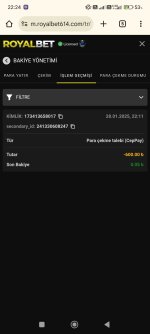 Screenshot_2025-01-28-22-24-44-485_com.android.chrome.jpg