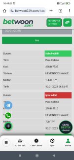 Screenshot_2025-01-30-10-49-21-550_com.android.chrome.jpg