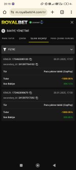 Screenshot_2025-01-30-20-18-02-326_com.android.chrome.jpg