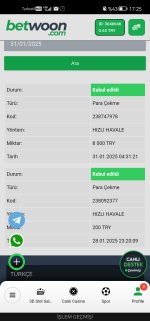 Screenshot_20250131_172503_com.yandex.browser.jpg