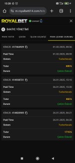 Screenshot_2025-02-01-13-28-52-937_com.android.chrome.jpg