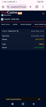 Screenshot_2025-02-02-17-36-51-241_com.android.chrome.jpg