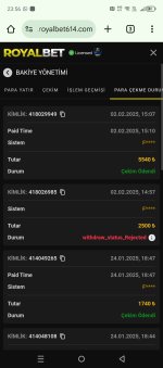 Screenshot_20250202-235629.jpg