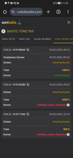 Screenshot_20250205_113212_com.android.chrome.jpg