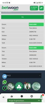 Screenshot_2025-02-07-18-55-08-583_com.android.chrome.jpg