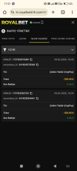 Screenshot_2025-02-09-17-21-32-434_com.android.chrome.jpg