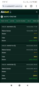 Screenshot_2025-02-10-17-47-29-359_com.android.chrome.jpg