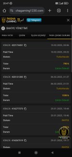 Screenshot_2025-02-10-20-47-37-898_com.android.chrome.jpg