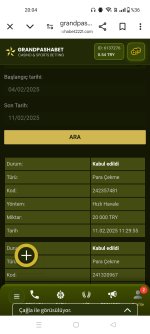 Screenshot_2025-02-11-20-04-03-37_40deb401b9ffe8e1df2f1cc5ba480b12.jpg
