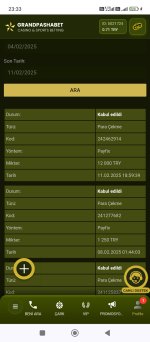 Screenshot_2025-02-11-23-33-07-841_com.android.chrome.jpg