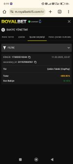 Screenshot_2025-02-12-00-19-45-575_com.android.chrome.jpg