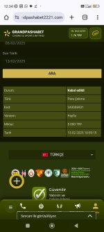 Screenshot_2025-02-13-12-34-24-814_com.android.chrome.jpg