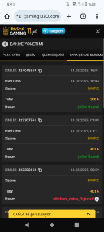 Screenshot_20250214-164138.png