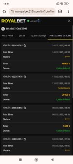 Screenshot_2025-02-14-18-44-47-358_com.android.chrome.jpg