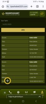 Screenshot_20250214_204113_Chrome.jpg