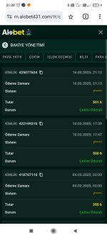 Screenshot_2025-02-16-21-20-24-789_com.android.chrome.jpg