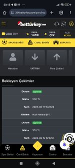 Screenshot_2025-02-17-20-15-57-313_com.android.chrome.jpg