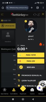 Screenshot_2025-02-17-20-15-53-056_com.android.chrome.jpg