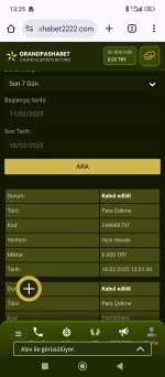 Screenshot_2025-02-18-13-25-01-179_com.android.chrome.jpg