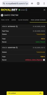 Screenshot_20250221_153225_Chrome.jpg