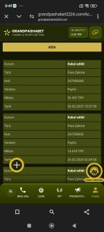 Screenshot_2025-02-27-00-41-26-822_com.android.chrome.jpg