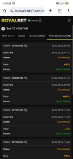 Screenshot_2025-03-02-00-50-19-810_com.android.chrome.jpg