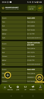 Screenshot_20250306-233407.png