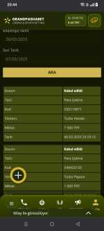 Screenshot_20250307-204451.png