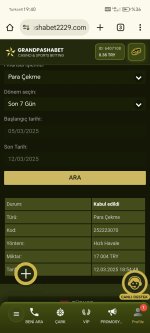 Screenshot_20250312_194006_com_android_chrome_ChromeTabbedActivity.jpg
