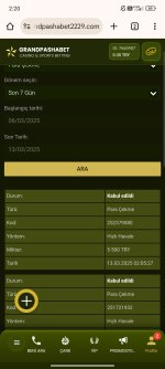 Screenshot_2025-03-13-02-20-26-774_com.android.chrome.jpg
