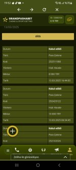 Screenshot_20250313_195255.jpg