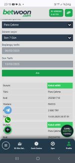 Screenshot_20250313_231915_Chrome.jpg