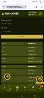 Screenshot_20250314_233928.jpg