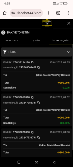 Screenshot_20250315-045510.png