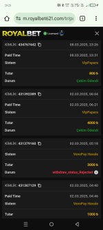 Screenshot_20250315-202534.jpg