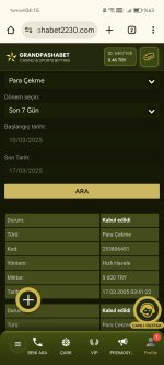 Screenshot_20250317_041535_com_android_chrome_ChromeTabbedActivity.jpg