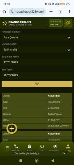 Screenshot_2025-03-19-11-30-13-939_com.android.chrome.jpg
