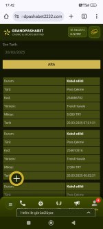 Screenshot_2025-03-20-17-42-23-605_com.android.chrome.jpg